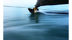 Goa - výlet člunem za delfíny