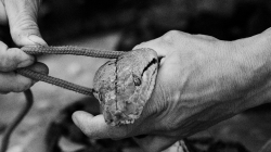Po návratu do Akha nás čekalo překvapení - místní lovec ulovil hada