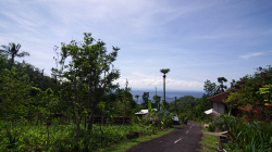 Balijský venkov / Balinese countryside