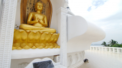 Pagoda míru - Peace pagoda
