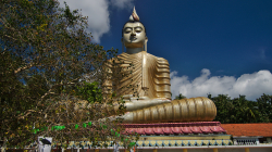 50m Budha / 50m tall Buddha