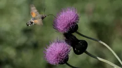 018