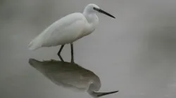 051